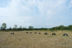 Hundeplatz_am_Tierheim_Berlin_7jpg