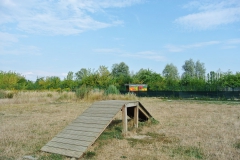 Hundeplatz_am_Tierheim_Berlin_8