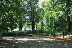 Hundeplatz-an-der-Malche-1