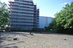 Hundeauslauf-Revaler-Straße-WalkYourDog-1