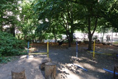 Hundeauslauf-Revaler-Straße-WalkYourDog-5