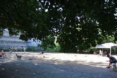 Hundeauslauf-Revaler-Straße-WalkYourDog-7