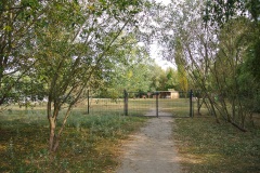 Hundeplatz-Hohenschönhausen-walkyourdog-1