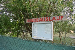 Hundeplatz-Hohenschönhausen-walkyourdog-2