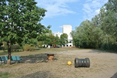 Hundeplatz-Hohenschönhausen-walkyourdog-7