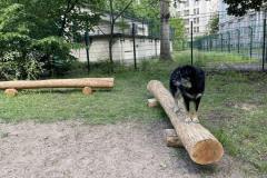 Walk-your-Dog-Hundeplatz-im-Kleistpark-5