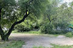 Walk-your-Dog-Hundeplatz-im-Kleistpark-6