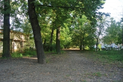 Hundeplatz_Volkspark_Friedrichshain-2