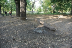 Hundeplatz_Volkspark_Friedrichshain-4