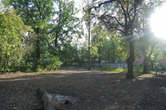 Hundeplatz_Volkspark_Friedrichshain-5