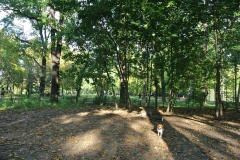 Hundeplatz_Volkspark_Friedrichshain-6