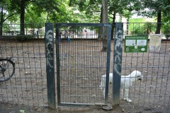 Hundeplatz-Volkspark-Schoeneberg-WalkYourDog-1