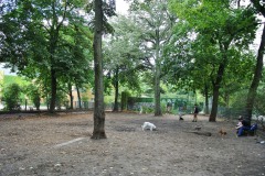 Hundeplatz-Volkspark-Schoeneberg-WalkYourDog-3