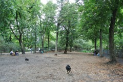 Hundeplatz-Volkspark-Schoeneberg-WalkYourDog-5