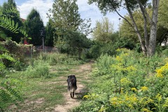Wriezener-Park-02