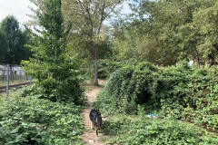 Wriezener-Park-04