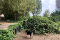 Wriezener-Park-09