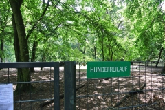 Hundeplatz_Volkspark_Jungfernheide-1
