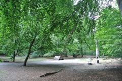 Hundeplatz_Volkspark_Jungfernheide-2