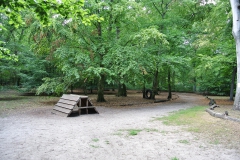 Hundeplatz_Volkspark_Jungfernheide-3