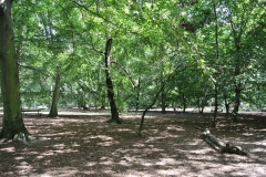 Hundeplatz_Volkspark_Jungfernheide-5