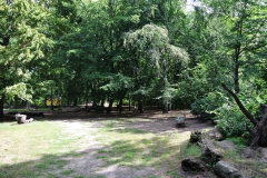 Hundeplatz_Volkspark_Jungfernheide-6