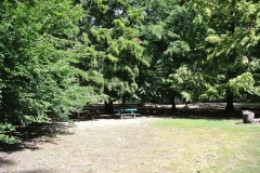 Hundeplatz_Volkspark_Jungfernheide-7
