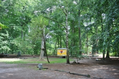 Hundeplatz_Volkspark_Jungfernheide-8