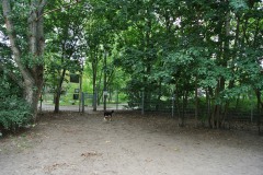 Hundeplatz-Lichtenberg-WalkYourDog1