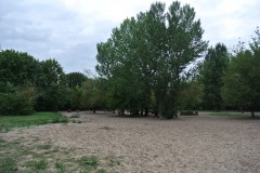 Hundeplatz-Lichtenberg-WalkYourDog3