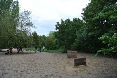 Hundeplatz-Lichtenberg-WalkYourDog5