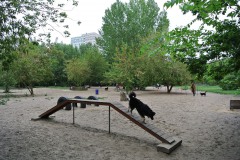 Hundeplatz-Lichtenberg-WalkYourDog6