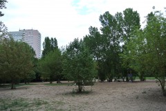 Hundeplatz-Lichtenberg-WalkYourDog7