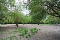 Hundeplatz-Lichtenberg-WalkYourDog9