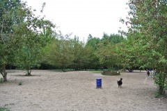 Hundeplatz-Lichtenberg-WalkYourDog99