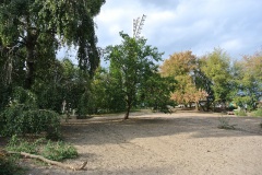 Hundeplatz-Mauerpark-3