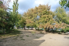Hundeplatz-Mauerpark-4
