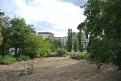 Hundeplatz-Mauerpark-6