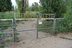 Hundeplatz-Mauerpark-8