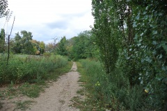 Hundeplatz-Mauerpark-9
