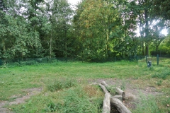Hundeplatz-Seggeluchbecken-5