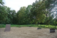 Hundeplatz-Seggeluchbecken-7