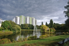 Hundeplatz-Seggeluchbecken-9