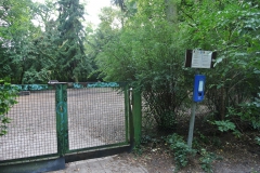 Hundeplatz-Steinbergpark-1
