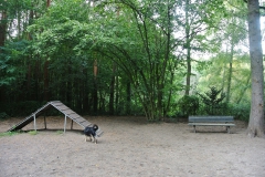 Hundeplatz-Steinbergpark-5