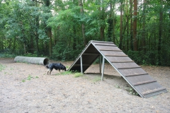 Hundeplatz-Steinbergpark-6