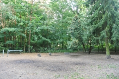Hundeplatz-Steinbergpark-8