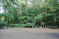 Hundeplatz-Steinbergpark-9