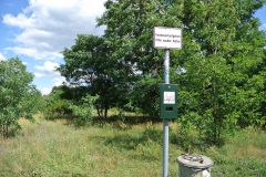 Hundewiese-an-der-Forsthausallee-1