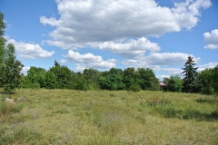 Hundewiese-an-der-Forsthausallee-3